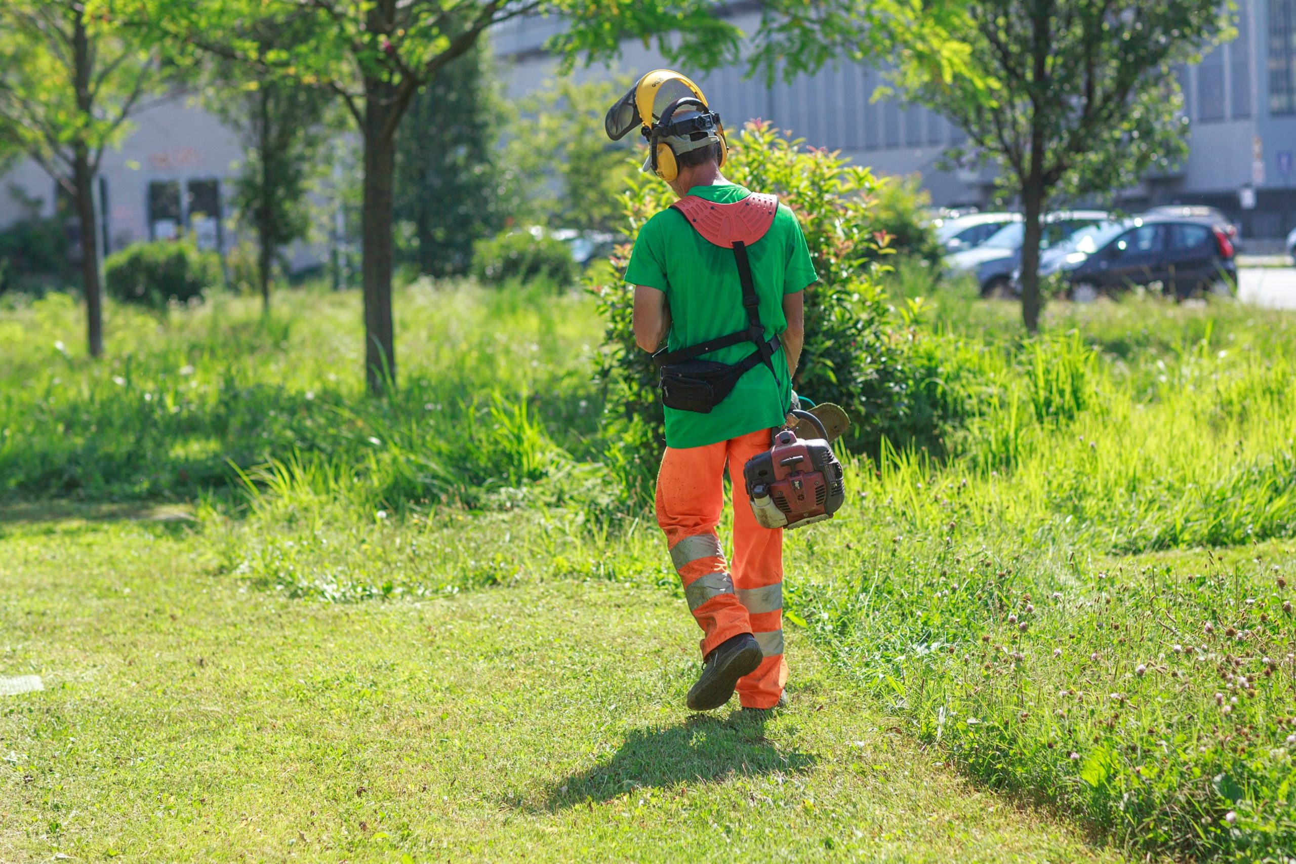 MANUTENZIONE AREE VERDI